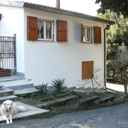 Villetta Aleanto Mentana Exterior photo