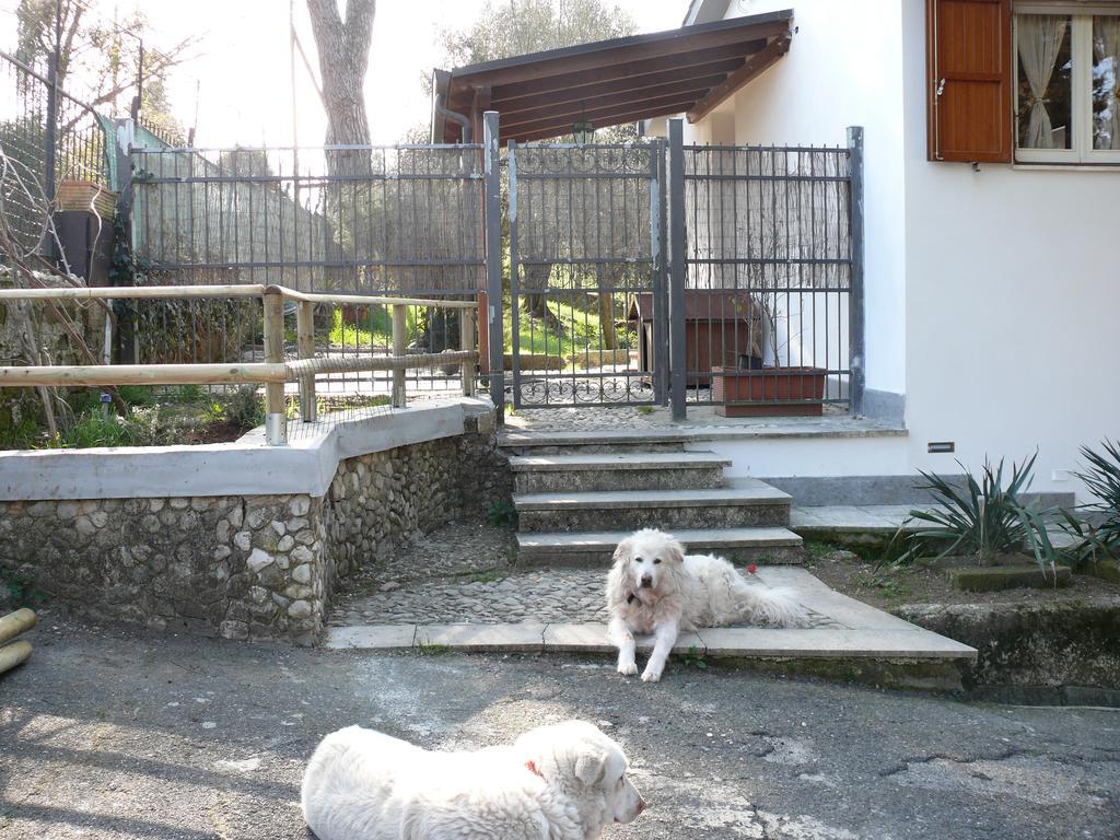 Villetta Aleanto Mentana Exterior photo